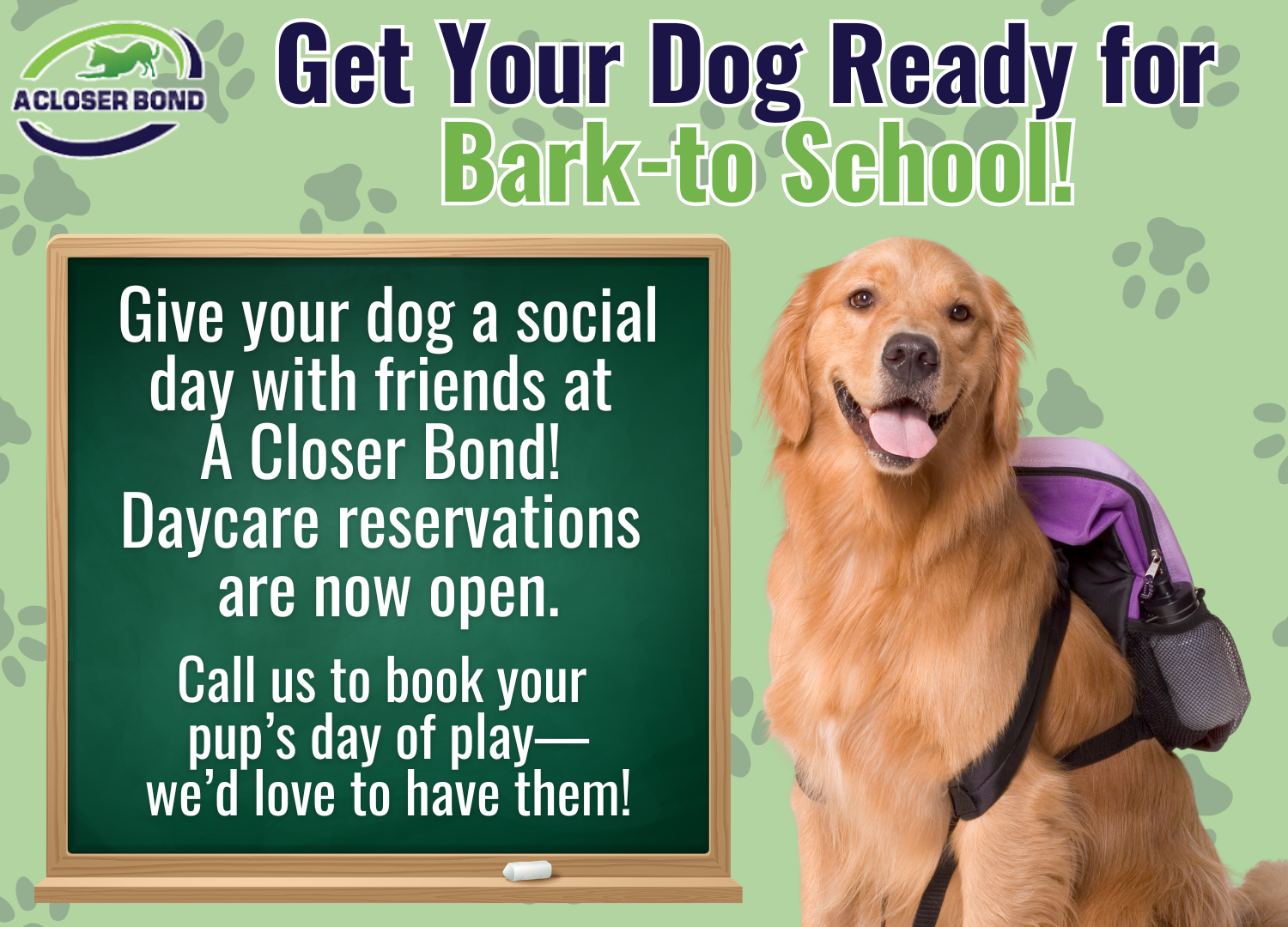 Bark to School Pop-Up